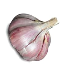 Local organic Russian garlic (Jumbo)